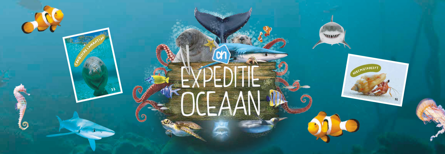 Expeditie Oceaan!