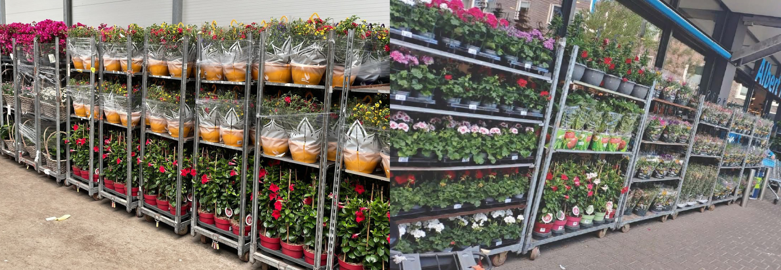 Plantjesmarkt!